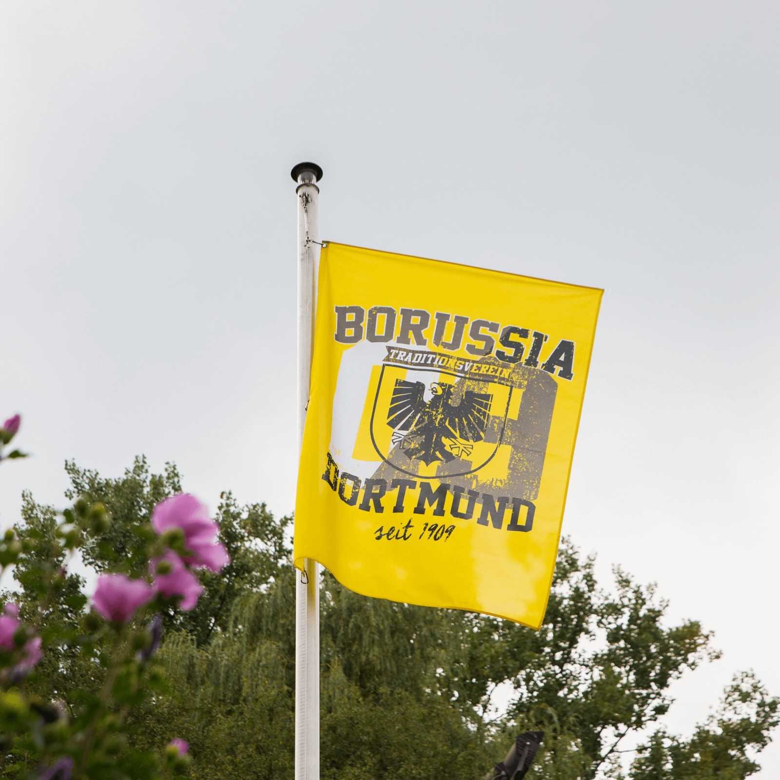 BVB-Hissfahne mit Stadtwappen (150 x 100 cm) in Gelb, schwarzgelbem Stadtwappen und Schriftzug „Borussia Dortmund“, frontal am Fahnenmast wehend.