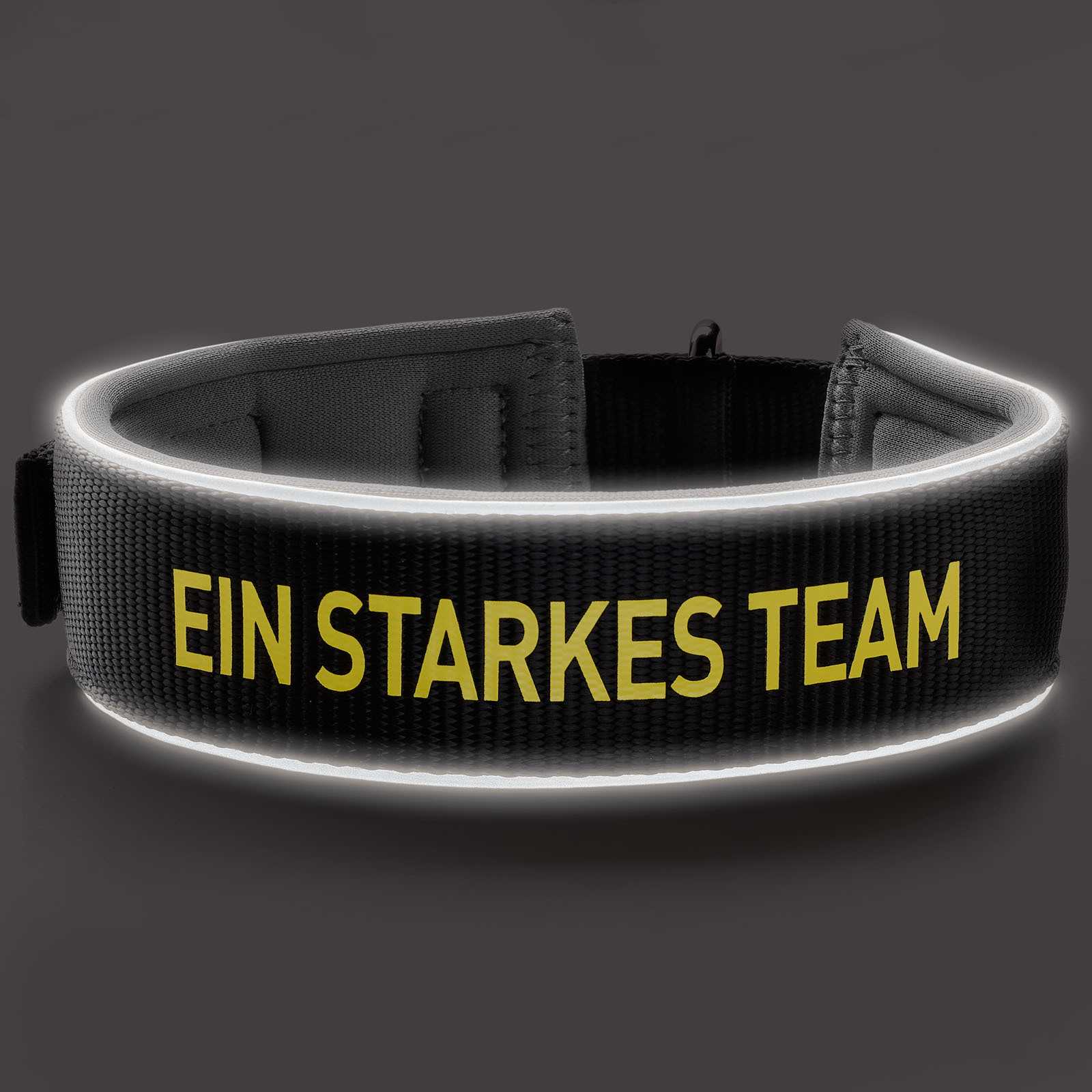 Vorderansicht des schwarzgelben BVB-Hunde-Halsbands Neopren mit Reflektor in Größe M-L, gelber Schriftzug „EIN STARKES TEAM“ auf schwarzem Untergrund.