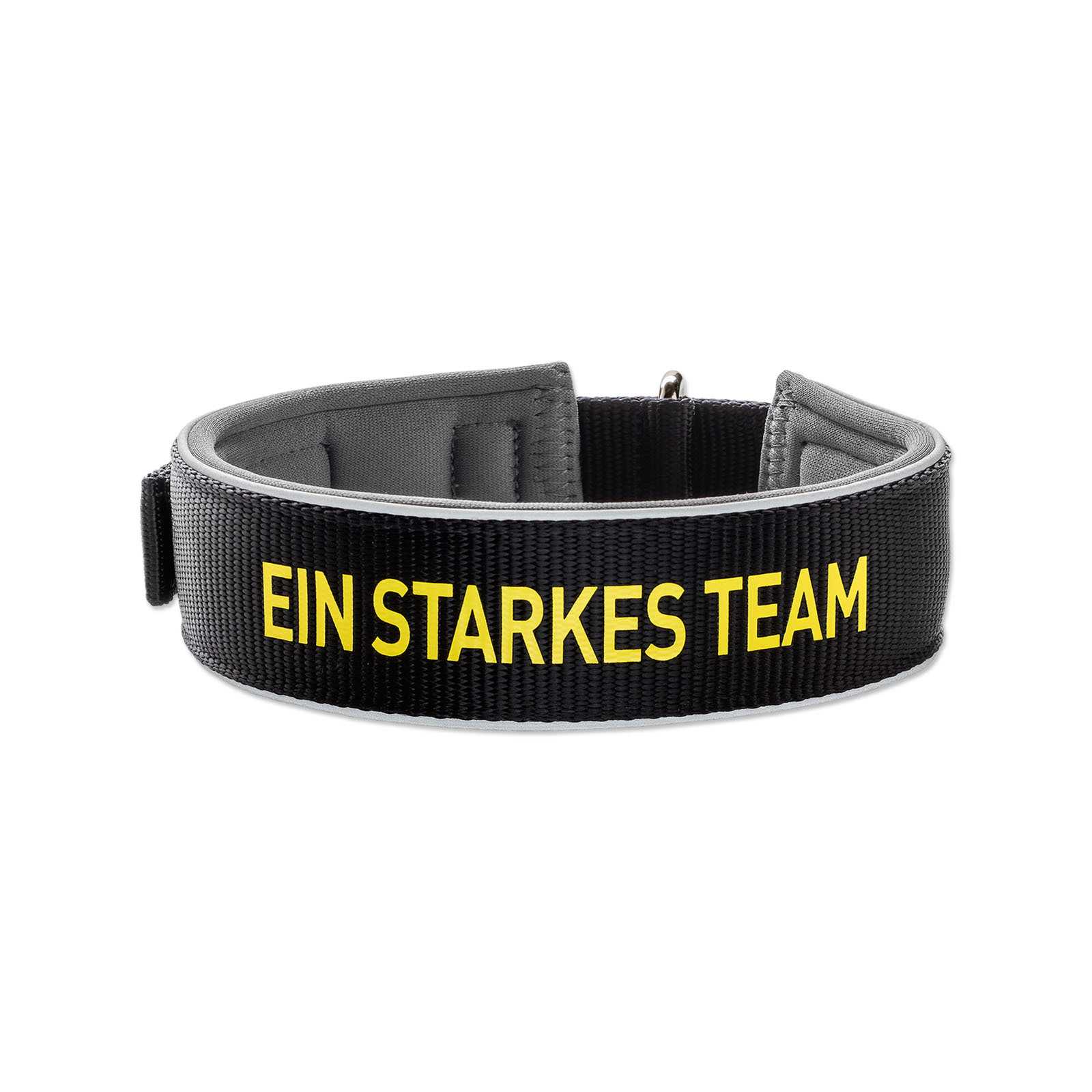 Vorderansicht des BVB-Hunde-Halsbands Neopren mit Reflektor S-M in schwarzgelb, Schriftzug "Ein starkes Team" und reflektierenden Elementen.