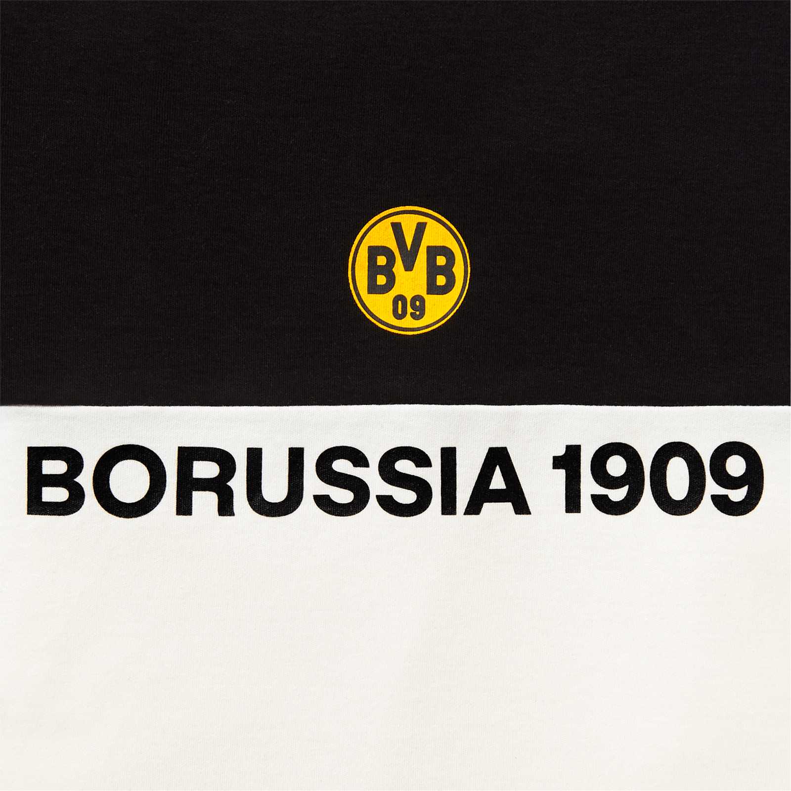 Detailansicht des Schriftzugs "Borussia 1909"