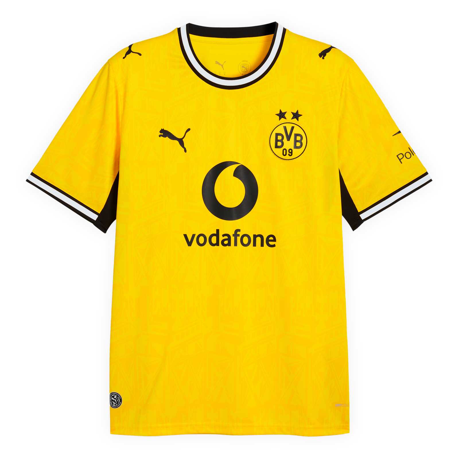 Die Vorderansicht des gelben Heimtrikots mit schwarzweißem Kragen und Armbündchen, kurzen Ärmeln, schwarzer PUMA-Katze, BVB-Emblem und Vodafone-Logo auf der Brust.